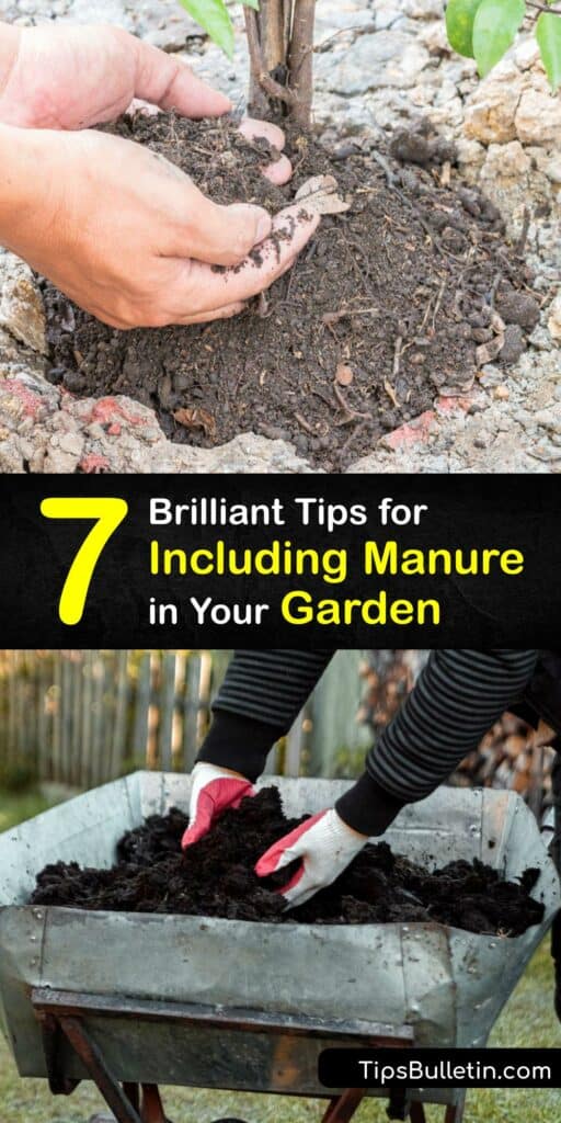 Despite its smell, fresh manure holds the answer to adding nutritious plant food to your garden. To avoid harming plants, use animal manure in your compost to create a safe and ready-to-use composted manure. Among the options, chicken and horse manure are the best #manure #plants