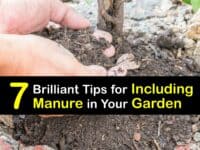 How to Apply Manure to Plants titleimg1
