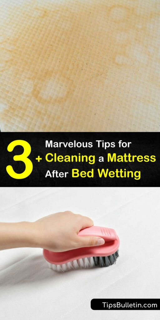 If you don’t have a mattress protector, erasing a pee stain and urine smell can be tough. Clean urine as soon as possible by soaking it up with a paper towel and use mattress cleaning products like white vinegar and dish soap to get the pee out completely. #clean #mattress #bed #wetting