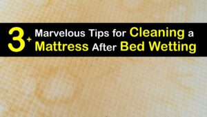 How to Clean a Mattress After Bed Wetting titleimg1