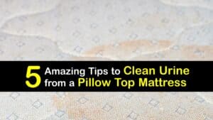 How to Clean Urine from a Mattress with a Pillow Top titleimg1