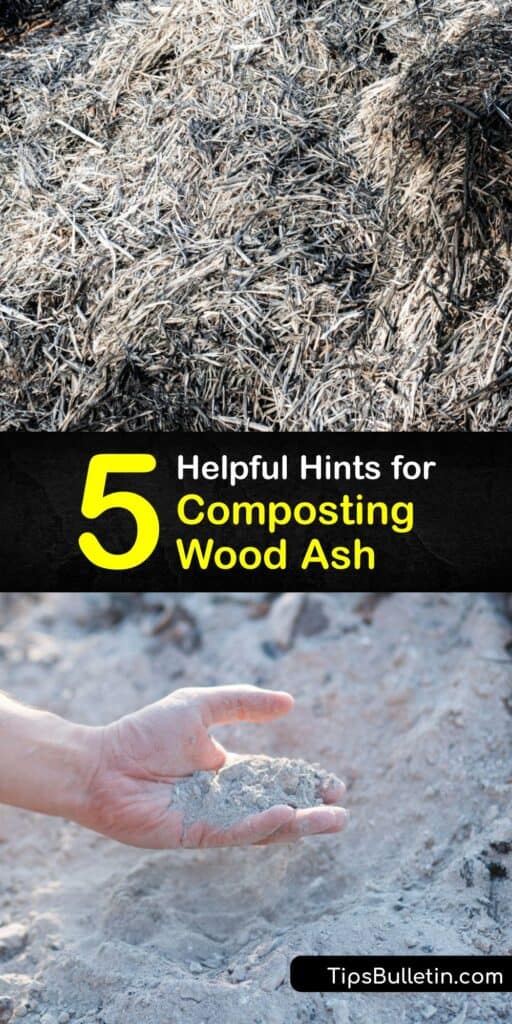 Here’s a secret; fireplace ash is great for your compost pile. Wood ash is an amazing soil amendment for acidic soil that provides helpful nutrients for your tomato plant or Brassica patch. Learn about soil pH and get tips to help you maintain a thriving compost heap. #compost #wood #ash