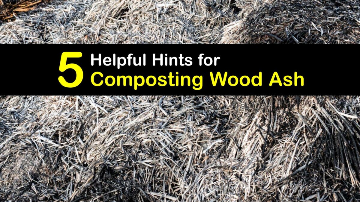 Wood Ash in Compost Composting Wood Ashes