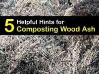 How to Compost Wood Ashes titleimg1