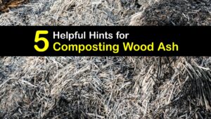 How to Compost Wood Ashes titleimg1