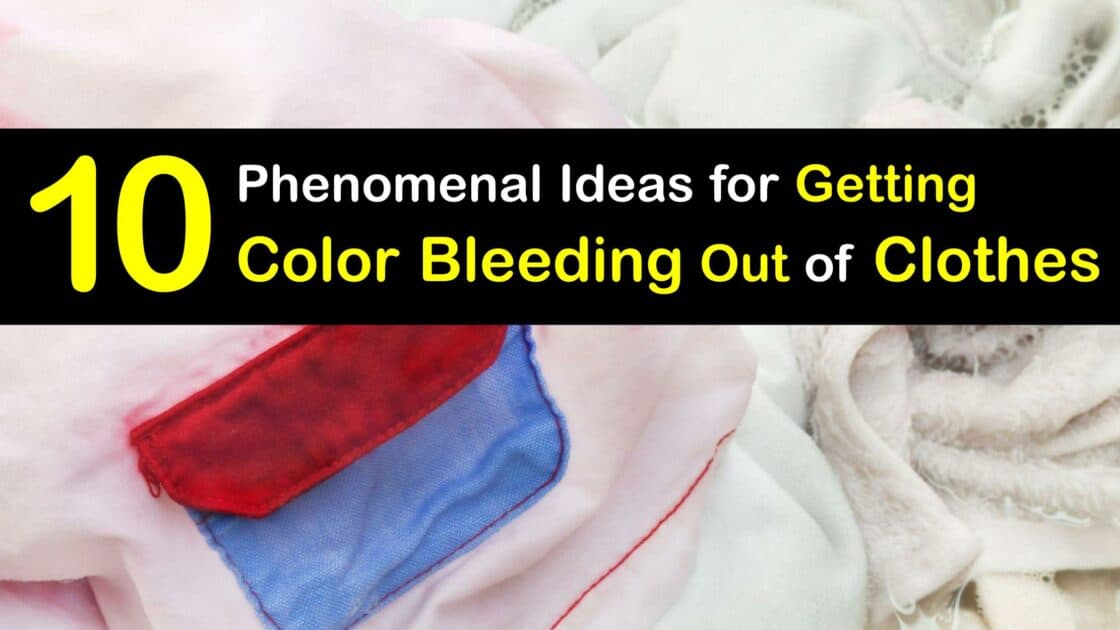 Eliminate Color Bleed Stains Remove Color Bleed from Clothes