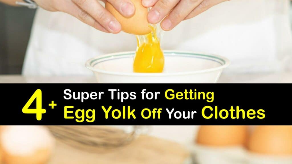 How to Get Egg Yolk Out of Clothes titleimg1