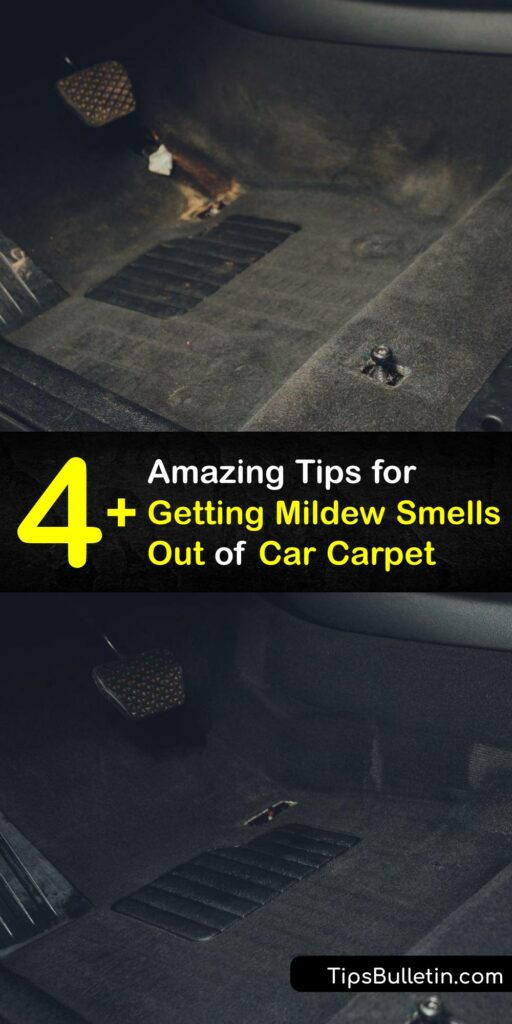 Mold spores create mildew odor and leave you needing a car odor eliminator. Make a white vinegar deodorizer or try carpet cleaning to get rid of a moldy or musty smell from your car. #get #mildew #smell #out #car #carpet