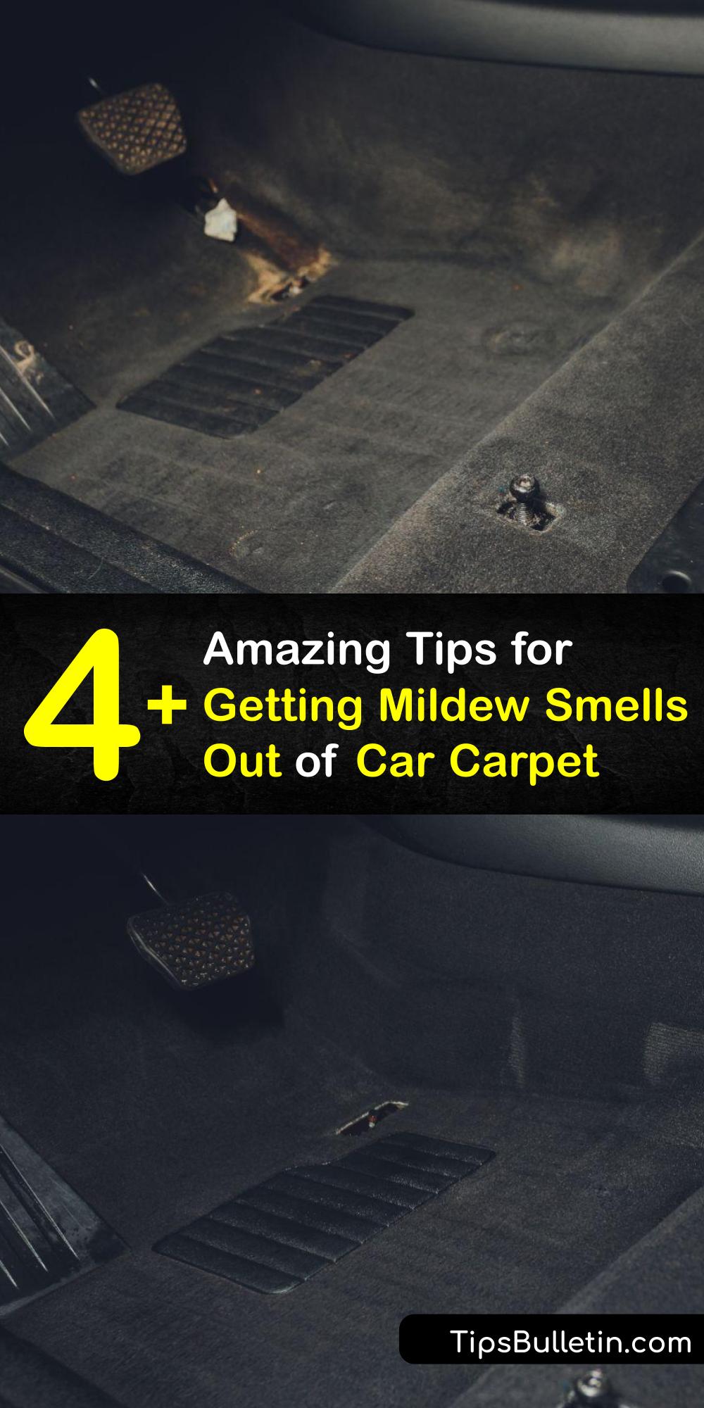 Mildew Odor in the Car Eliminate Mildew Smells from Car Carpet