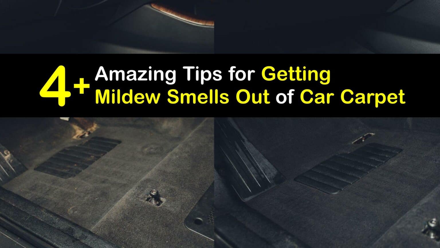 Mildew Odor in the Car Eliminate Mildew Smells from Car Carpet