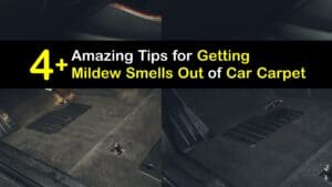 How to Get a Mildew Smell Out of Car Carpet titleimg1