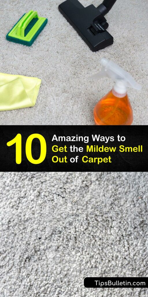 Learn ways to remove mildew odor from carpets using simple and effective methods. Mildew and mold grow quickly on wet carpet and carpet padding, which leads to an unpleasant musty smell. It’s easy to remove with vinegar, baking soda, and hydrogen peroxide. #howto #remove #mildew #carpet