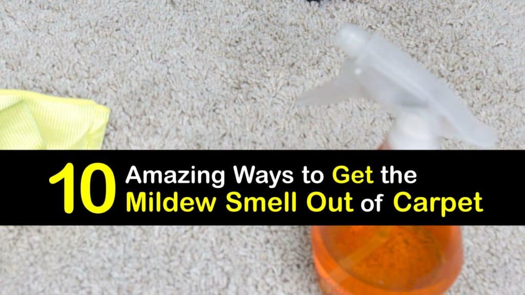 How to Get the Mildew Smell Out of Carpet titleimg1