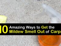 How to Get the Mildew Smell Out of Carpet titleimg1