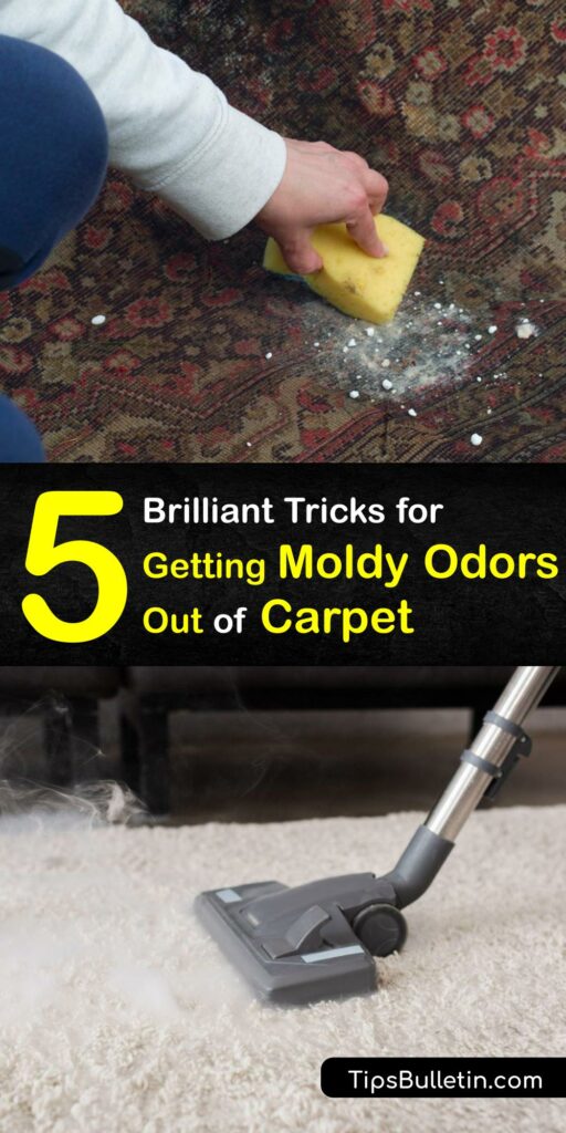 If you’ve had wet carpet, conditions have been ideal for black mold growth and the spread of mold spores, requiring mold remediation. Get rid of a musty smell or a wet carpet smell using your carpet cleaner, white vinegar, baking soda, and more. #remove #mold #smell #carpet