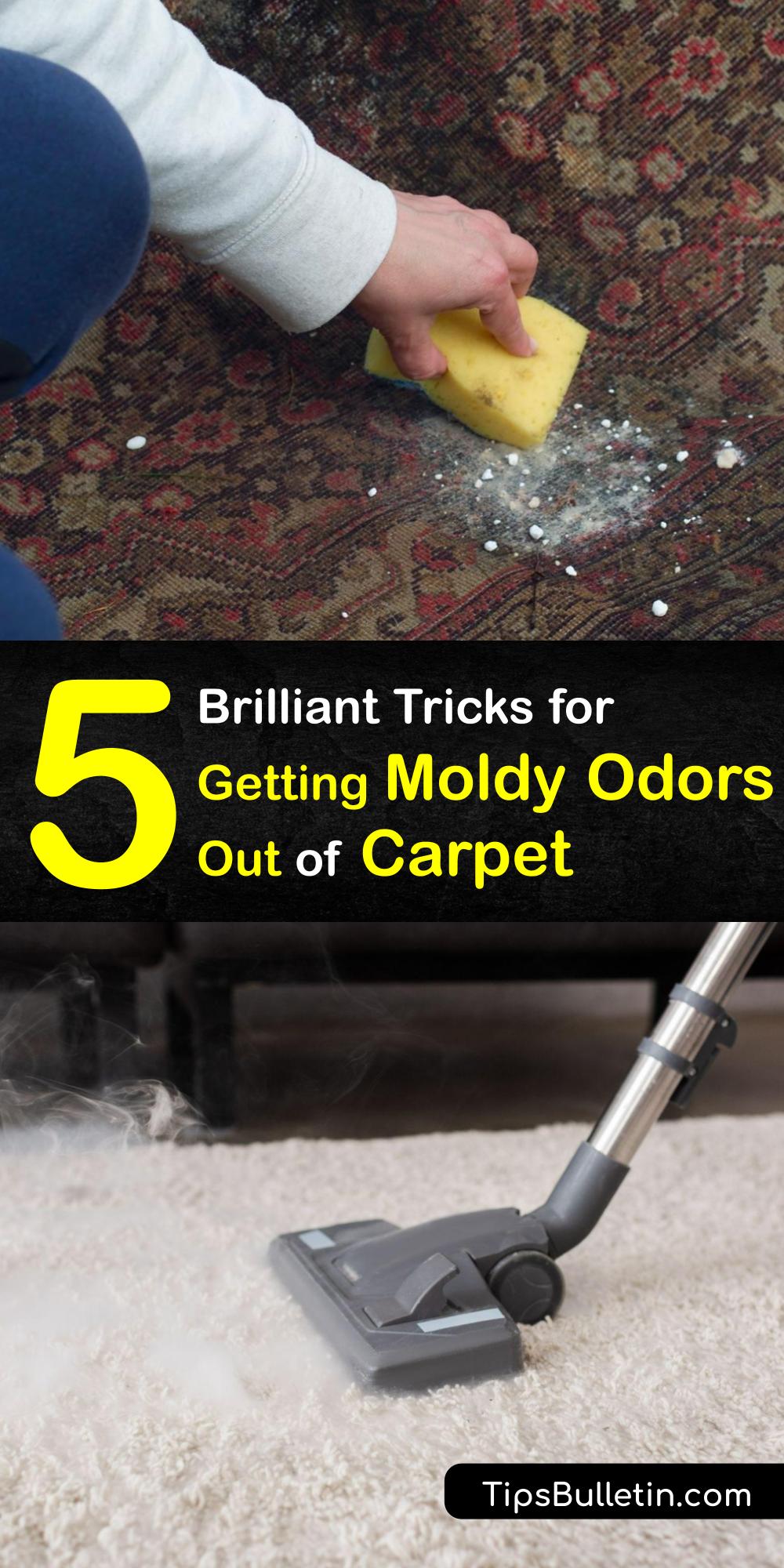 how-to-get-rid-of-moldy-smell-in-car