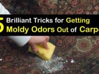How to Get a Mold Smell Out of the Carpet titleimg1