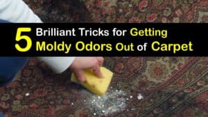 How to Get a Mold Smell Out of the Carpet titleimg1