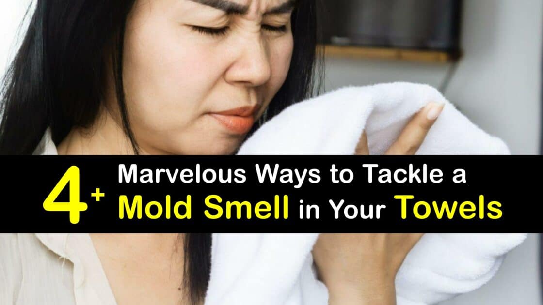 Get Rid of a Moldy Smell Ways to Remove Musty Towel Odors