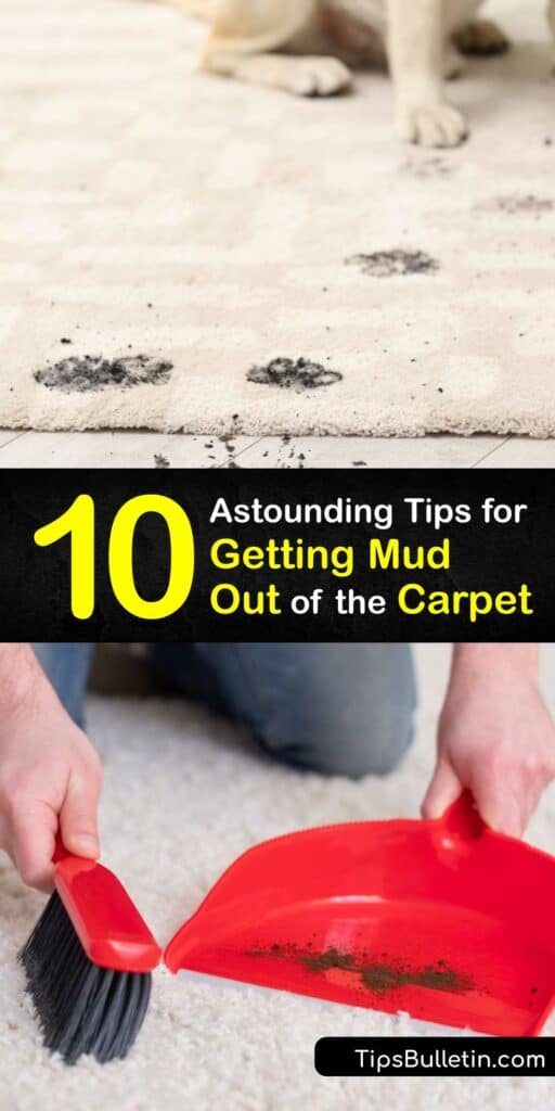 Learn ways to get muddy footprints off the carpeting with convenient carpet cleaner solutions. While removing a mud stain from ceramic tile or luxury vinyl flooring is fairly simple, it’s not as easy to get off carpet fiber, and special methods are necessary. #howto #remove #mud #carpet