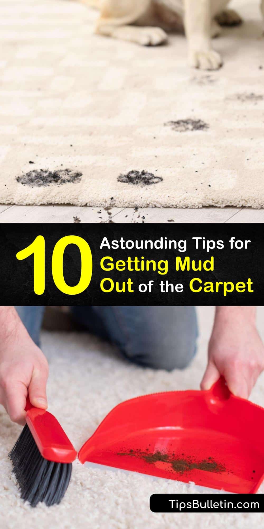 Muddy Carpet Cleaning Tips for Removing Mud from Carpeting