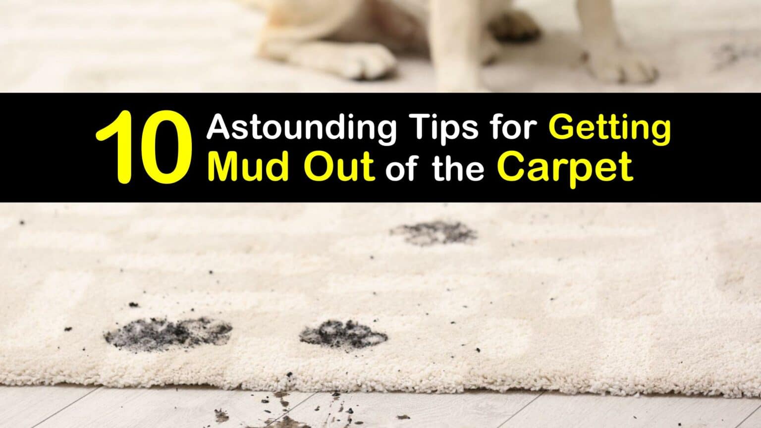 Muddy Carpet Cleaning Tips for Removing Mud from Carpeting
