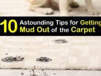How to Get Mud Out of the Carpet titleimg1