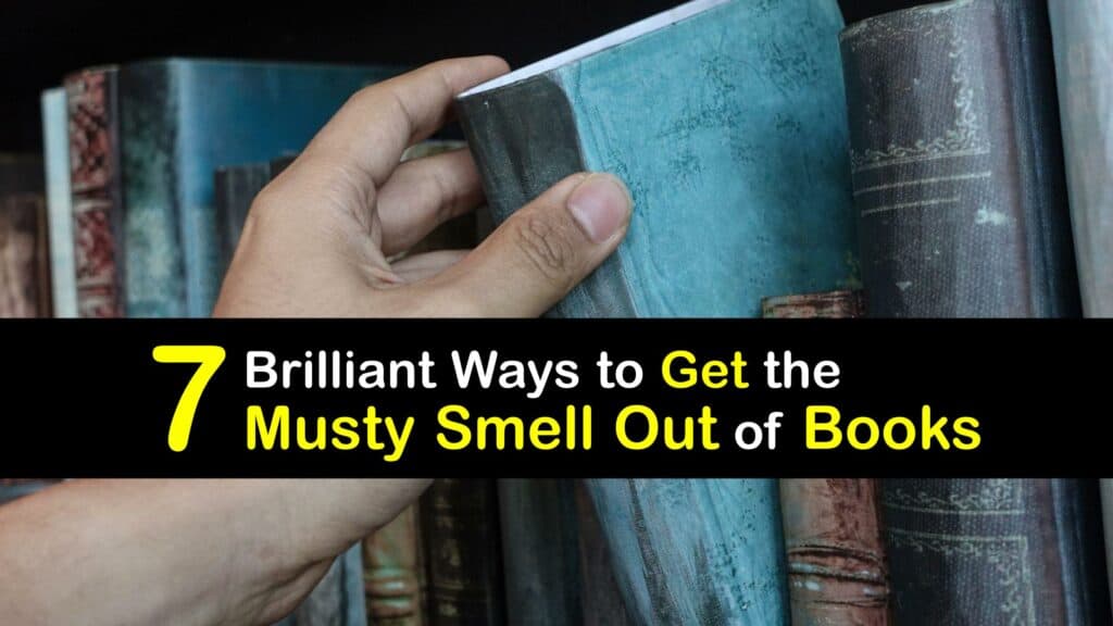 How to Get the Musty Smell Out of Books titleimg1