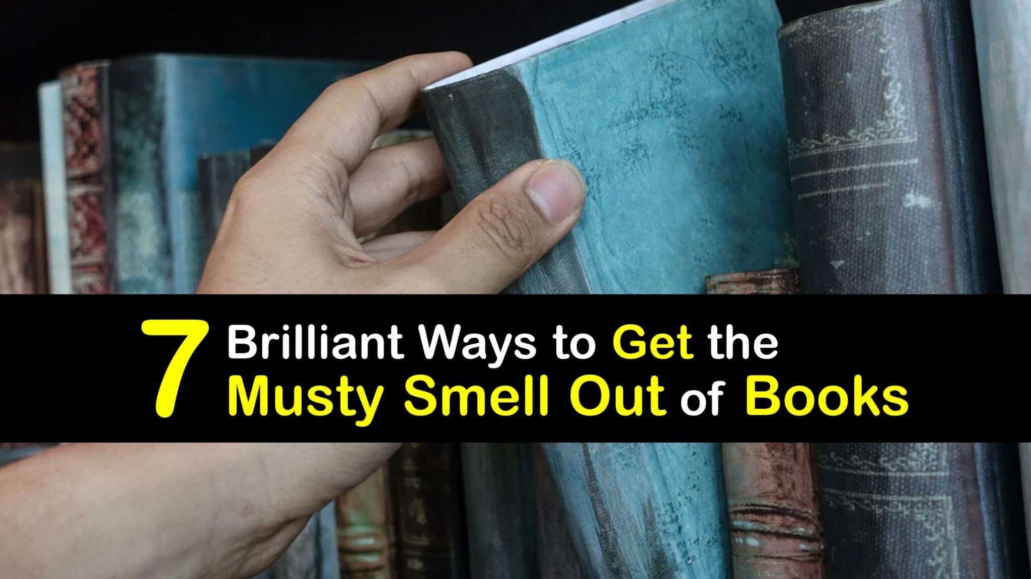 Eliminate Musty Book Smells Removing Odors from Books