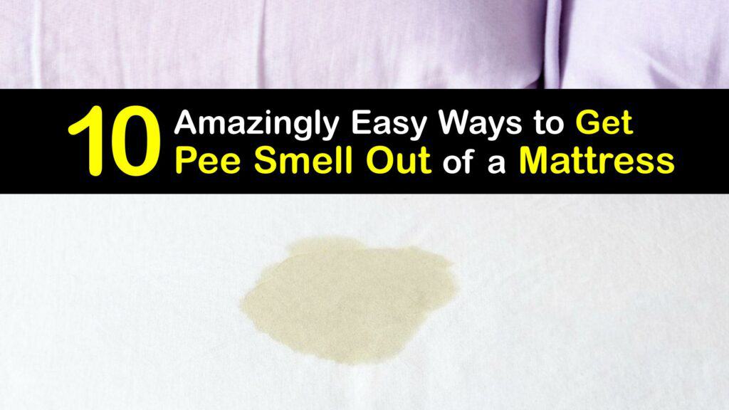 How to Get Pee Smell Out of a Mattress titleimg1