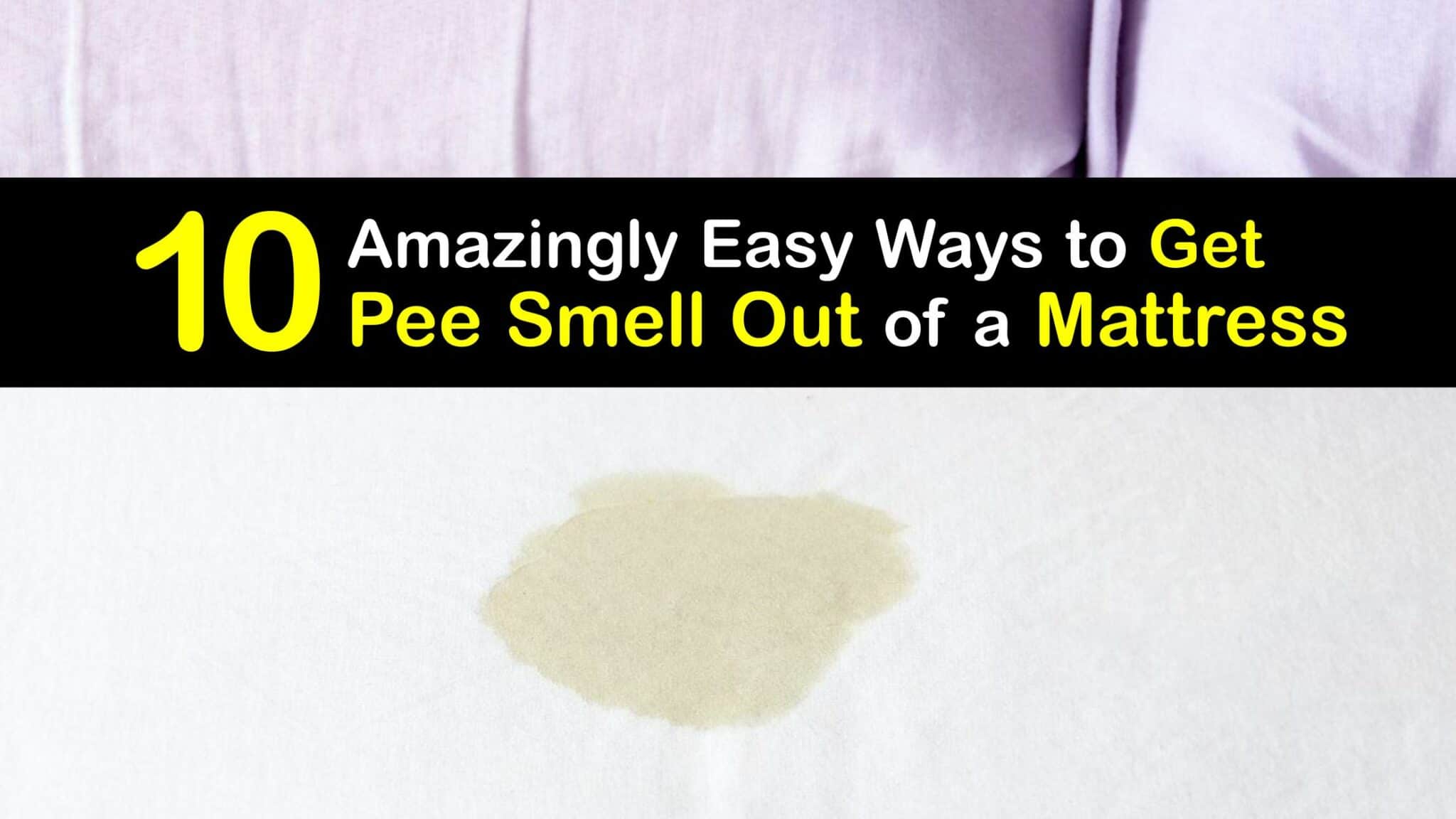 Pee Smells in the Mattress Eliminate Urine Odors in Mattresses