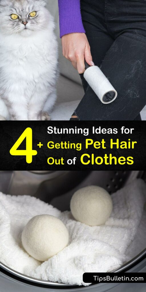 Whether you struggle with cat hair or dog hair, knowing how to remove pet hair keeps your clothes smart. Animal hair builds up in your washing machine and dryer lint trap and ruins your appliances. Use fabric softener sheets and wool dryer balls to erase pet fur. #get #pet #hair #out #clothes