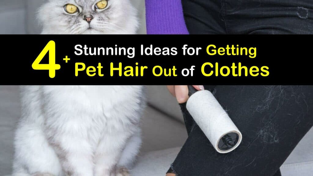 How to Get Pet Hair Out of Clothes titleimg1