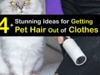 How to Get Pet Hair Out of Clothes titleimg1
