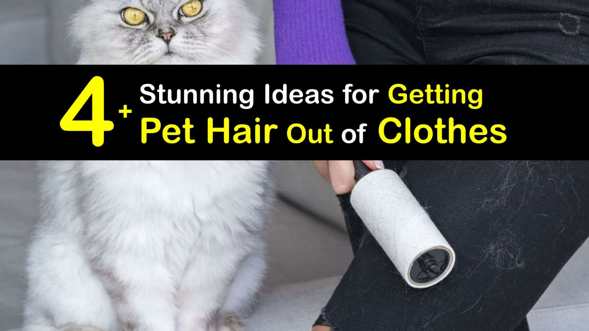 Eliminate Animal Fur Neat Ways to Remove Pet Hair from Clothes