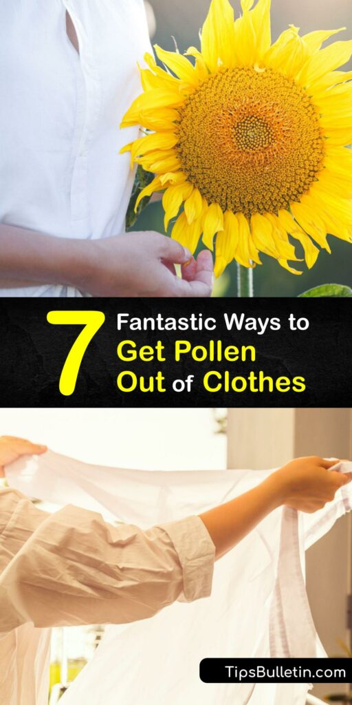 Discover how to remove flower and lily pollen stains from clothes with the proper stain remover. It’s easy to remove loose lily pollen with sticky tape, and soaking the fabric in a pollen stain removal solution removes lily stains. #howto #remove #pollen #clothes