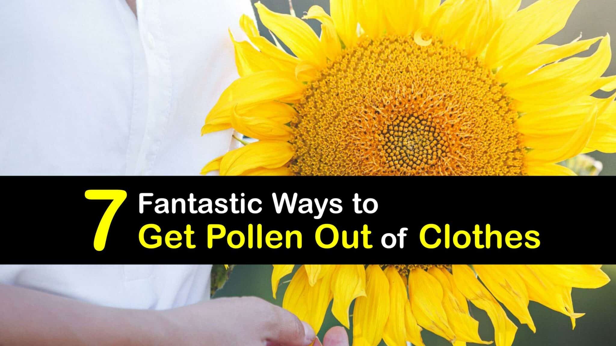 Pollen Removal Guide Easy Tips for Getting Pollen Off Clothes