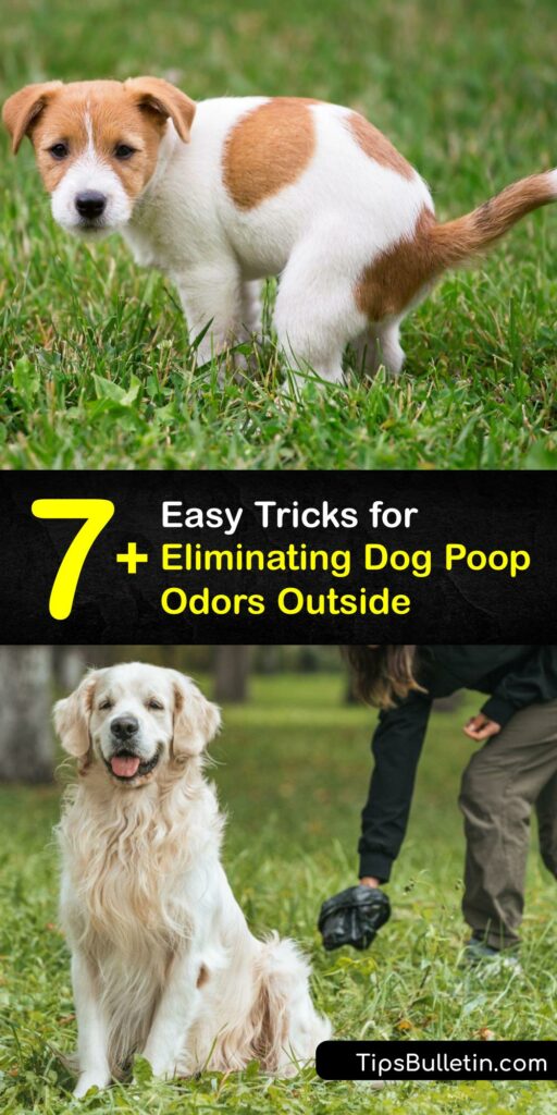 Pet odor caused by dog urine and poop smell don’t have to run your life. Discover how to rid your yard of urine odor and poop smell with our awesome DIY odor eliminator. Plus, we’ve got tons of other tips to tackle pet odor all over the backyard. #getridof #dog #poop #smell #outside