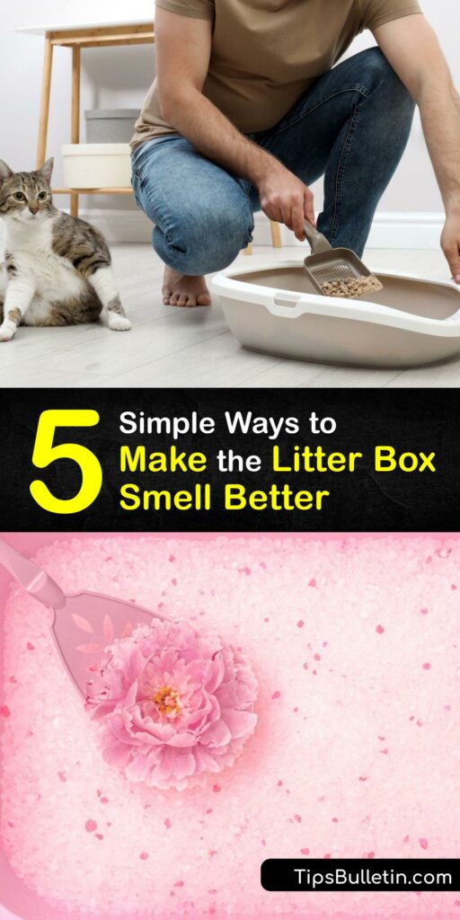 Learn how to clean your cats litter box, eliminate litter box odor, and keep your home smelling fresh. The best way to get rid of a litter box smell is to use clumping litter and apply baking soda for odor control. #howto #getridof #litter #box #odor
