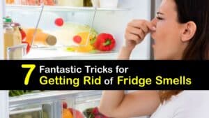 How to Make the Fridge Smell Better titleimg1