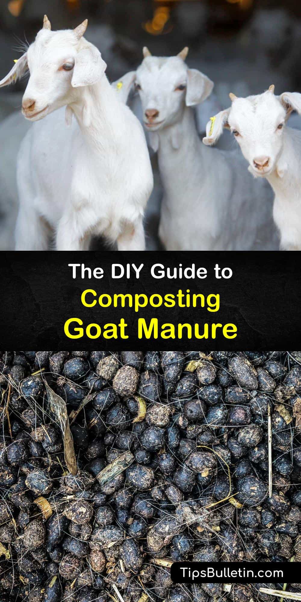 Simple Goat Manure Fertilizer Composting Goat Dung