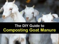 How to Make Goat Manure Compost titleimg1