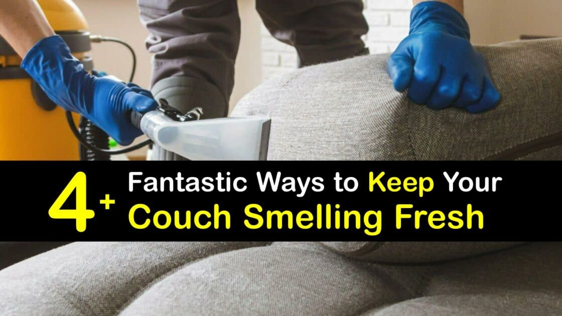 Freshening the Couch Ways to Improve the Smell of the Sofa