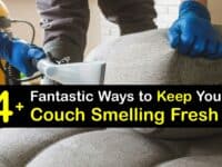 How to Make Your Couch Smell Good titleimg1