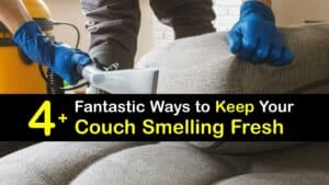 How to Make Your Couch Smell Good titleimg1