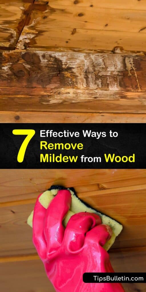 If you notice discoloration on wood siding, it is likely green mold. Follow our mold removal tips and learn how to clean mold using everyday cleaners to disinfect the surface of the wood and remove mold spores that penetrate wood furniture. #how to #remove #mildew #wood