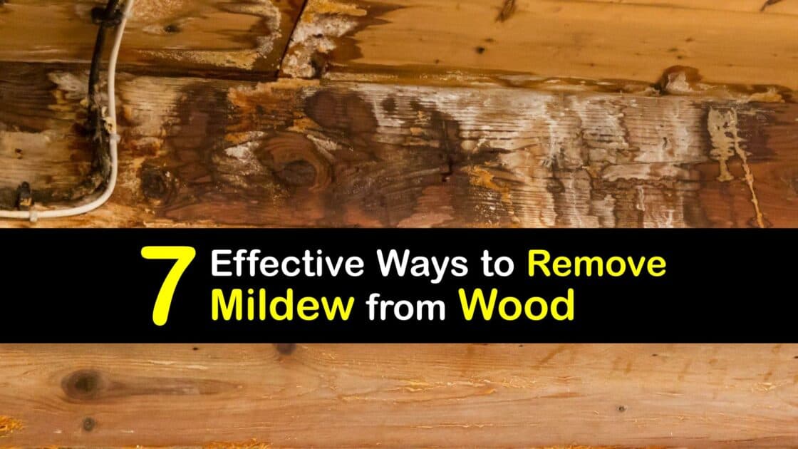 Cleaning Wood - Awesome Ways to Get Mildew Out of Wood