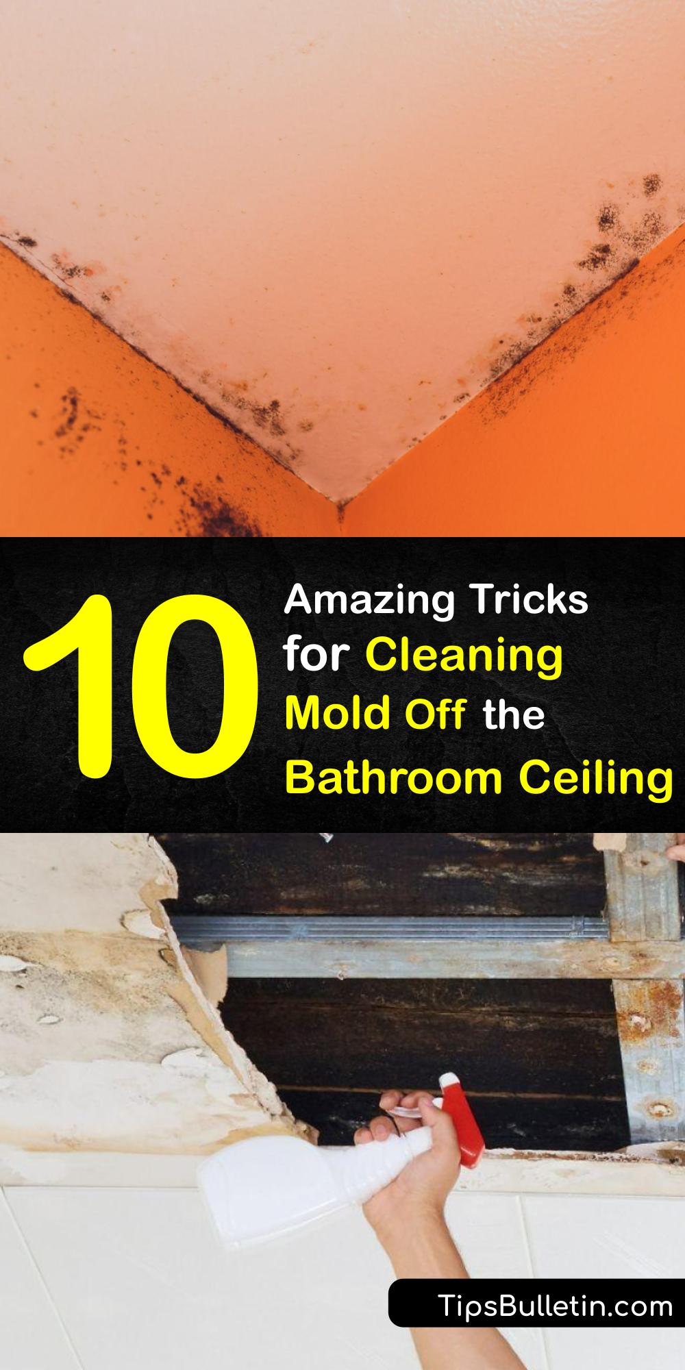 Bathroom Cleaning - Tricks for Getting Mold Off the Ceiling