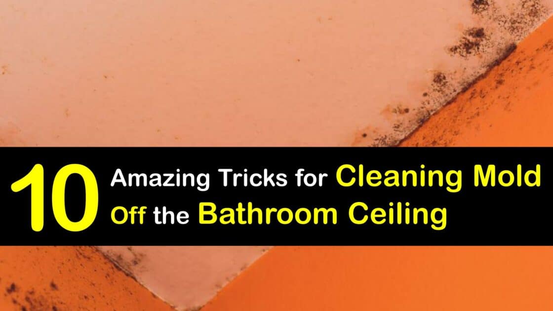 Bathroom Cleaning Tricks for Getting Mold Off the Ceiling