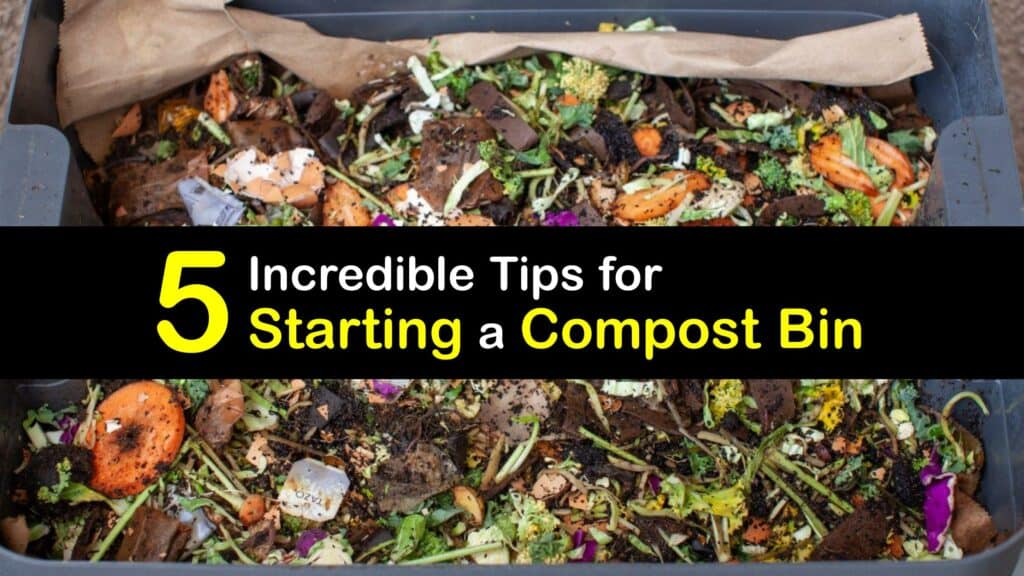 How to Start a Compost Bin titleimg1